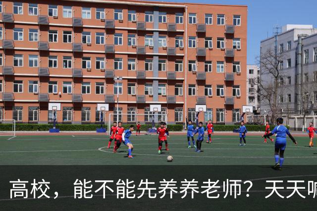 高校,能不能先养养老师?天天喊着立德树人,可日均工作10.5小时、56.6%的教师心理不健康——被压榨的老师,怎么温柔育人?