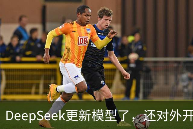 DeepSeek更新模型了，还对外开放了搜索引擎